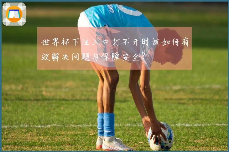 世界杯下注入口打不开时该如何有效解决问题与保障安全？