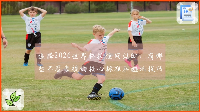 选择2026世界杯投注网站时，有哪些不容忽视的核心标准和避坑技巧？