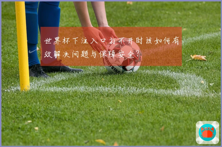 世界杯下注入口打不开时该如何有效解决问题与保障安全？