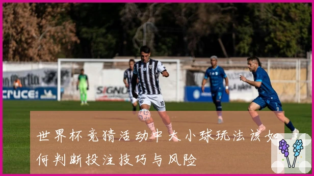 世界杯竞猜活动中大小球玩法该如何判断投注技巧与风险