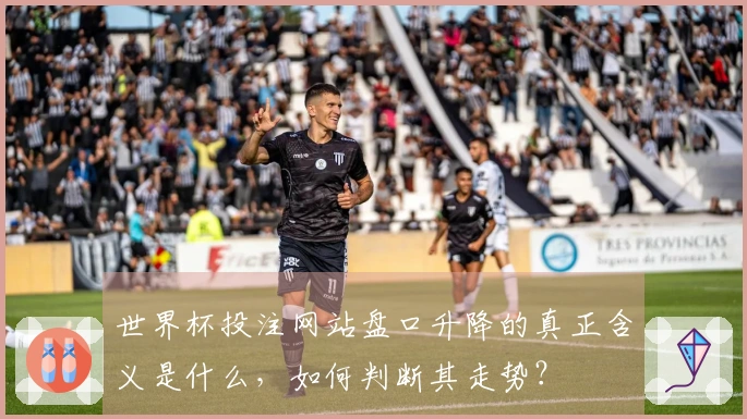 世界杯投注网站盘口升降的真正含义是什么，如何判断其走势？