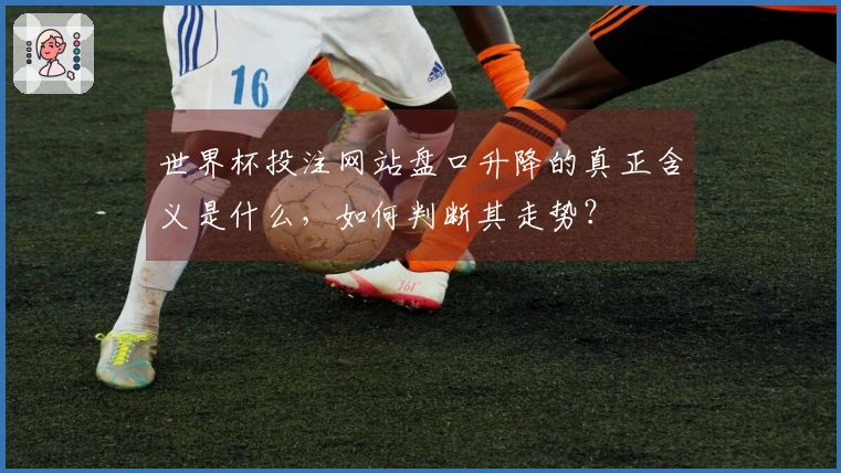 世界杯投注网站盘口升降的真正含义是什么，如何判断其走势？