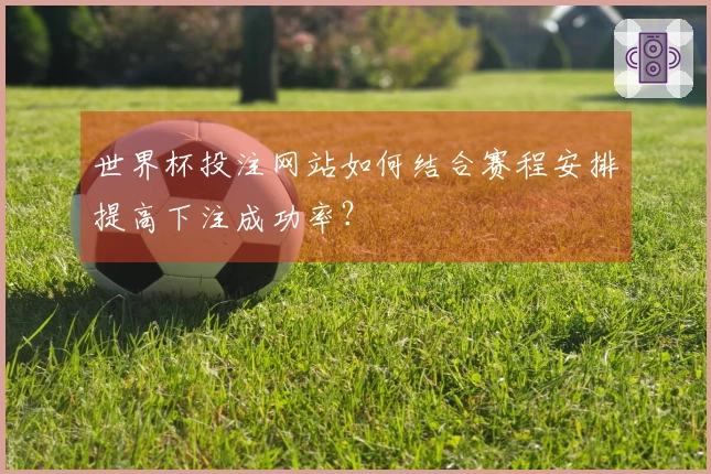 世界杯投注网站如何结合赛程安排提高下注成功率？