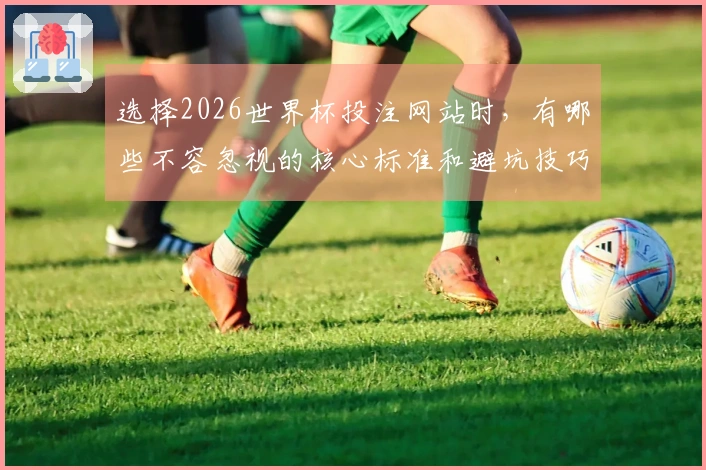 选择2026世界杯投注网站时，有哪些不容忽视的核心标准和避坑技巧？