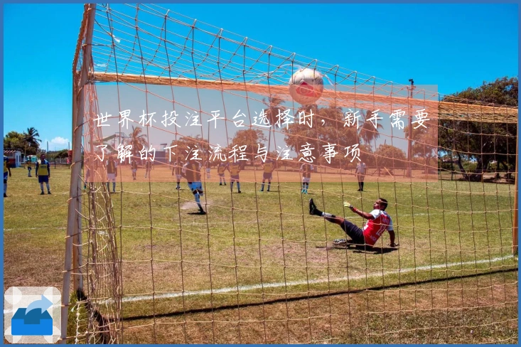 世界杯投注平台选择时，新手需要了解的下注流程与注意事项